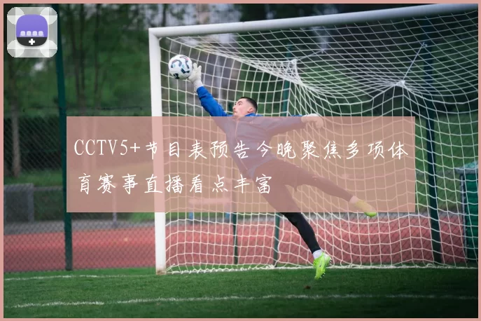 CCTV5+节目表预告今晚聚焦多项体育赛事直播看点丰富